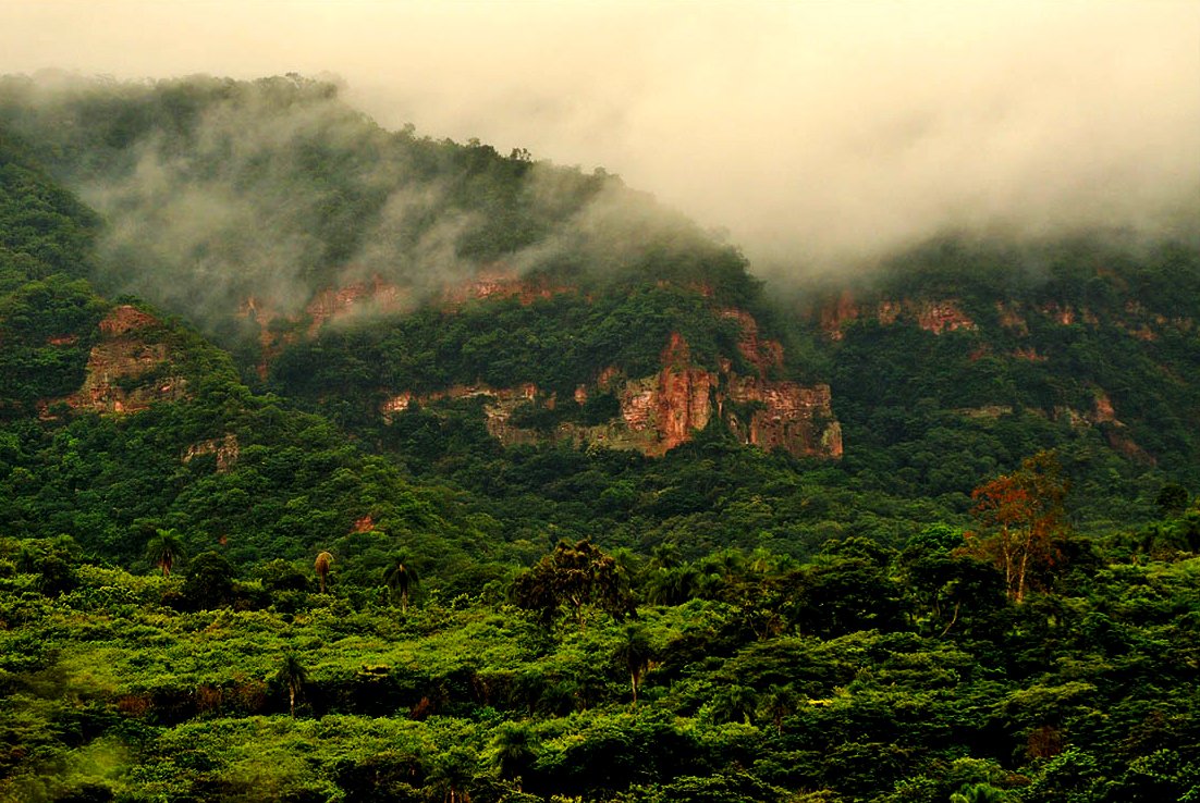 Chapada do Araripe é candidata a patrimônio da humanidade
