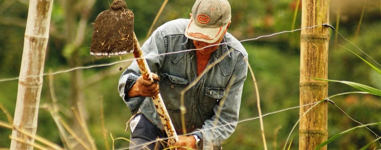 Mecanização na agricultura familiar: parceria entre Consórcio Nordeste e China impulsiona produtividade no campo